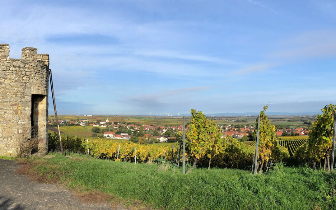 SPD Stammtisch am 18. August 2021